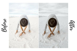 DESKTOP LIGHTROOM PRESETS HUSKY