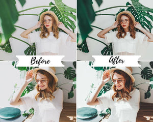 4 DESKTOP LIGHTROOM PRESETS AVOCADO