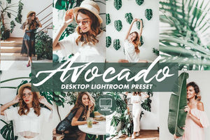 4 DESKTOP LIGHTROOM PRESETS AVOCADO