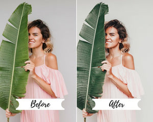 4 DESKTOP LIGHTROOM PRESETS AVOCADO