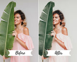 4 DESKTOP LIGHTROOM PRESETS AVOCADO