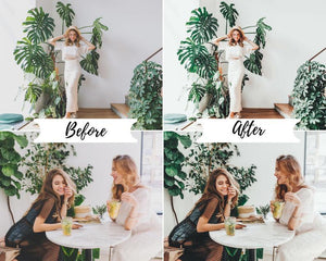 4 DESKTOP LIGHTROOM PRESETS AVOCADO