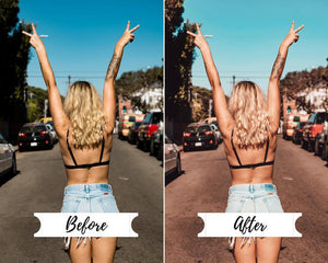 4 DESKTOP LIGHTROOM PRESETS TRAVELER