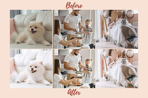 6 DESKTOP LIGHTROOM PRESETS LIGHT & AIRY
