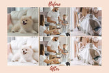 6 DESKTOP LIGHTROOM PRESETS LIGHT & AIRY