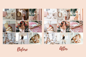 6 DESKTOP LIGHTROOM PRESETS LIGHT & AIRY