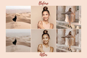 6 DESKTOP LIGHTROOM PRESETS NUDE TONES