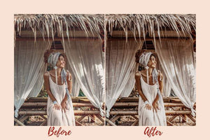6 DESKTOP LIGHTROOM PRESETS NUDE TONES