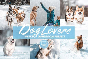 7 DESKTOP LIGHTROOM PRESETS DOG LOVERS