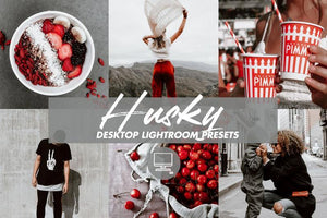 DESKTOP LIGHTROOM PRESETS HUSKY