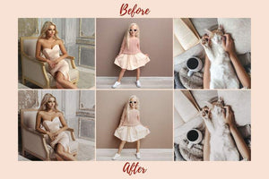 6 DESKTOP LIGHTROOM PRESETS NUDE TONES