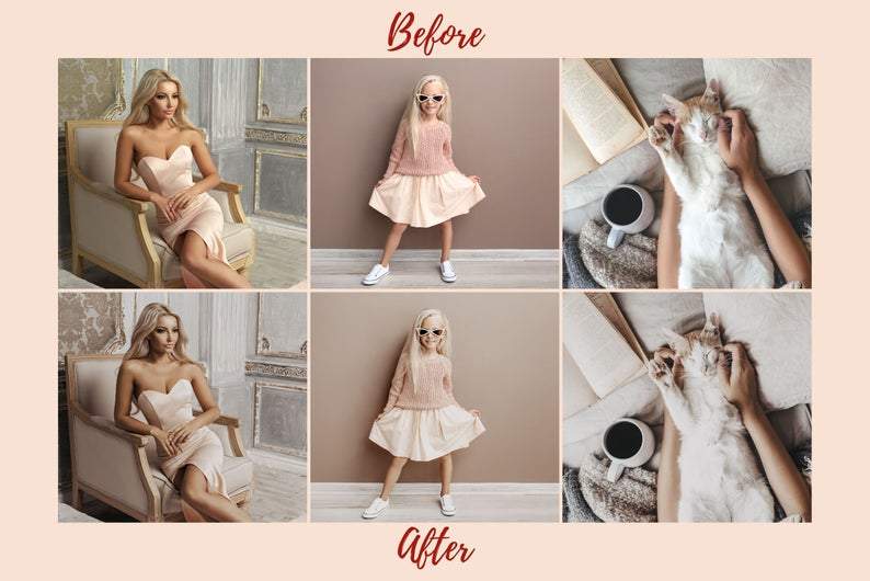 6 DESKTOP LIGHTROOM PRESETS NUDE TONES