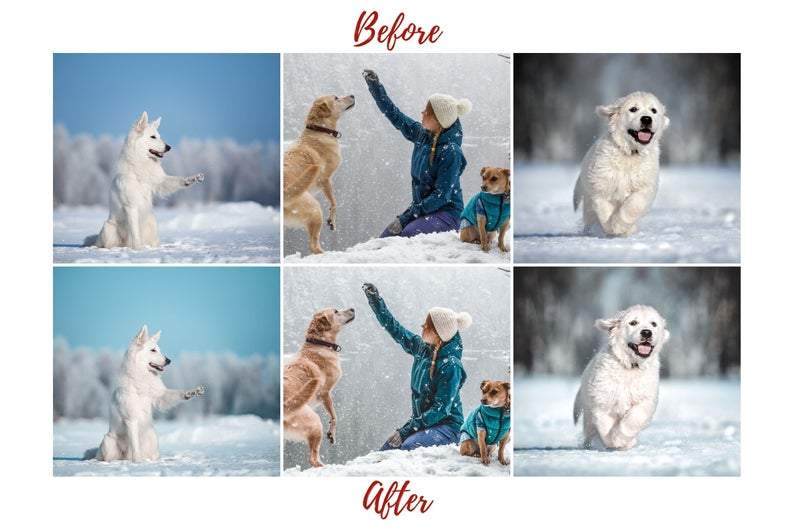 7 DESKTOP LIGHTROOM PRESETS DOG LOVERS