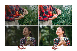 7 DESKTOP LIGHTROOM PRESETS GREEN LIVING