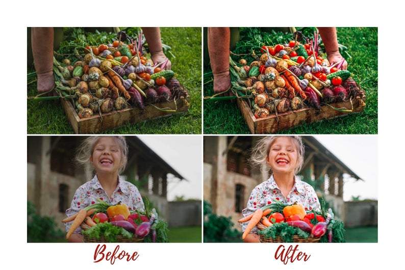 7 DESKTOP LIGHTROOM PRESETS GREEN LIVING