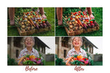 7 DESKTOP LIGHTROOM PRESETS GREEN LIVING
